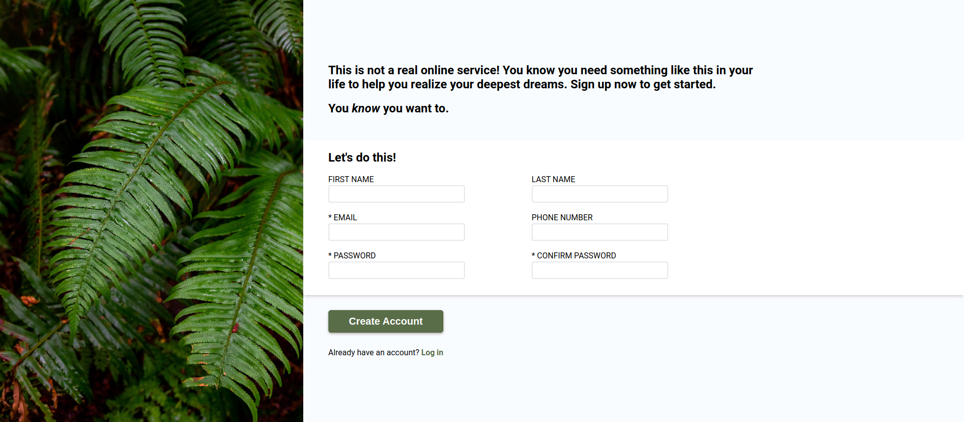 Screenshot of signup form